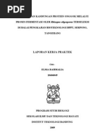 Download Peningkatan kandungan protein onggok melalui proses fermentasi oleh Rhizopus oligosporus terseleksi  by Elma Rahmalia SN56197387 doc pdf