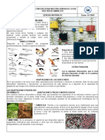 Adaptaciones de los seres vivos