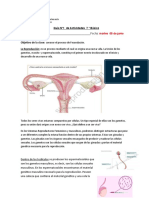 Guias 7º Junio