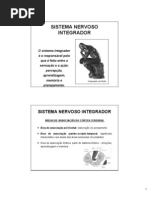 Funcoes Intelectuais Do Cerebro