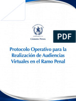 CP Protocolo Audiencias Virtuales