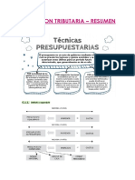 Resumen Actuacion Tributaria