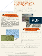 Características Macroscópicas y Microscópicas de Las Bacterias.