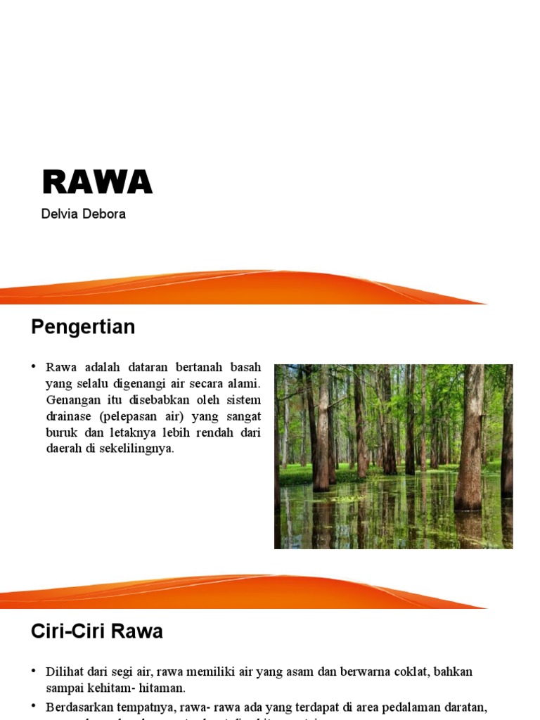 Geo Rawa | PDF