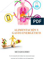 Unidad 4 Metabolismo