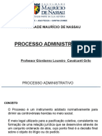 Aula 03 Processo Administrativo