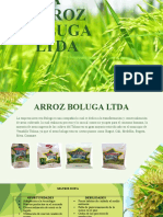 Diapositivas Prospectiva Arroz Boluga (1)