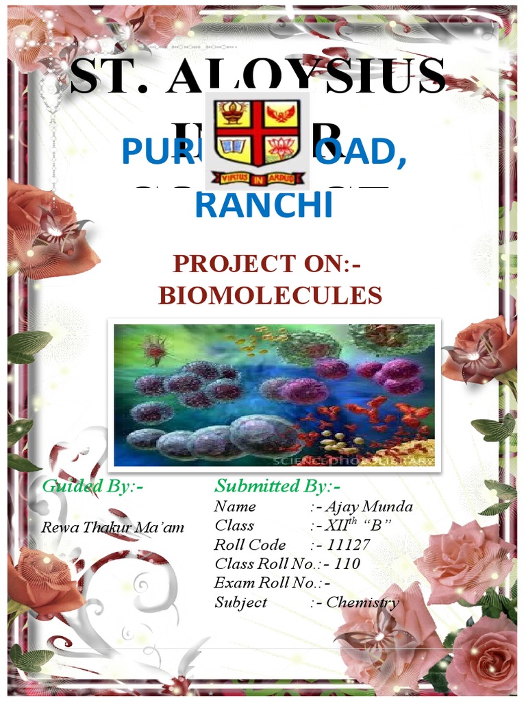 BIOMOLECULESCHEMISTRY Projects PDF Biomolecules Metabolic Pathway