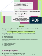 Bioensayo RNP