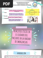 PPT-Seminario Principios Éticos