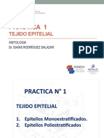 Practica 1- Tejido Epitelial (a)