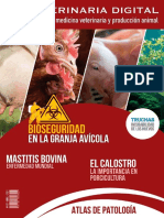 Magazine ES 07 VeterinariaDigital 2021