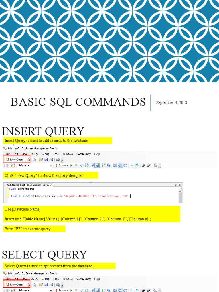 Program System - SQL Commands | PDF | Databases | Information Management