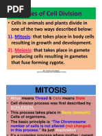 Chapter 1. Cell Division: Mitosis