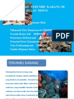Download Kerusakan Terumbu Karang Di Pulau Moyo Ppt by Yunita Hispana Suiza SN56208641 doc pdf