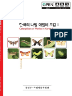 한국의 나방 애벌레 도감I