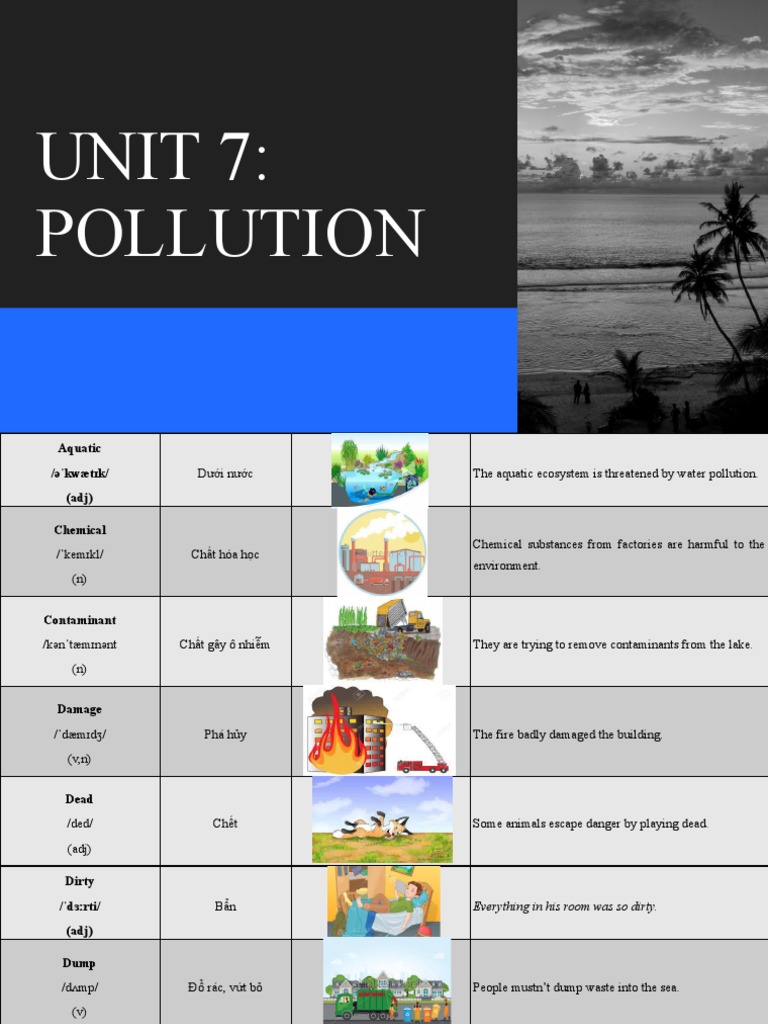 Unit 7 Pollution Pdf