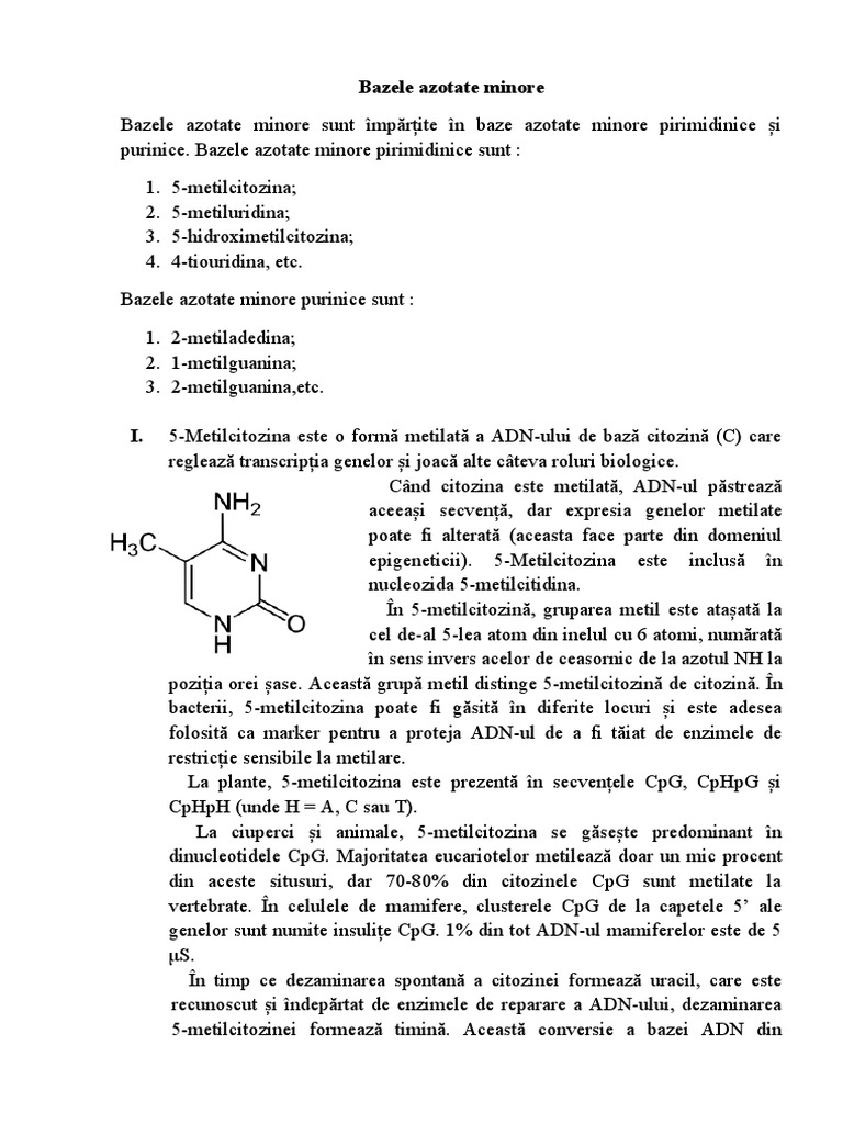 Bazele Azotate Minore - Besliu Gabriela.B31 | PDF