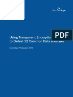 Using-Transparent-Encryption-Defeat-Common-Data-Breaches-Whitepaper