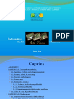 Model Prezentare Atestat