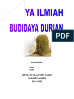 Budidaya Durian