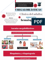 Anemias megaloblásticas: causas, síntomas y diagnóstico