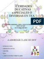 Clase Nee en Tea Fono y Educación 2017