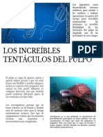 Los Increíbles Tentáculos Del Pulpo