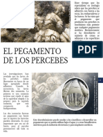 El Pegamento de Los Percebes