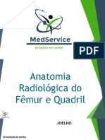 Anatomia Radiológica do Fêmur e Quadril