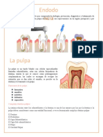 Endodoncia Repasos