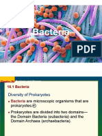 Bacteria Slides 1