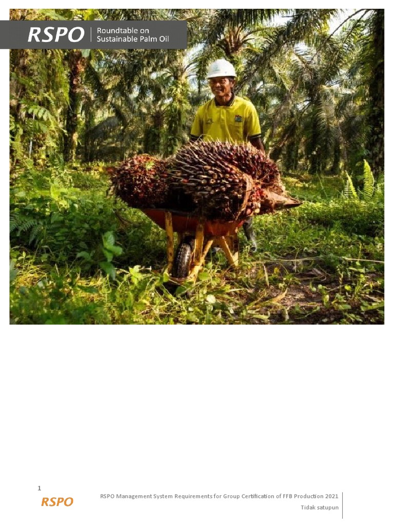 Persyaratan Sertifikasi Kelompok RSPO 2022 | PDF