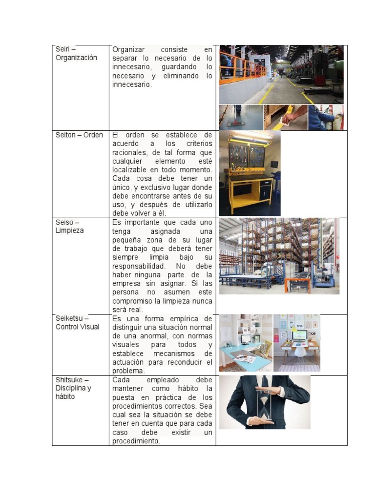 Metodología de las 9S en la Empresa | PDF | Business | Cognición