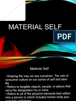 MATERIAL SELF AND IDENTITY
