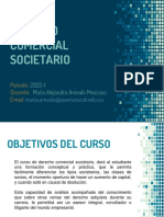 Derecho societario: introducción al mundo corporativo