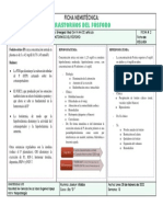 Ficha Nemotécnica-2