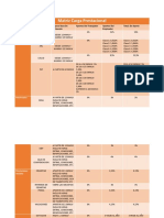 Matriz Carga Prestacional 