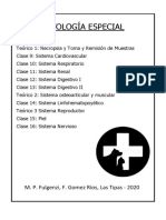 Copia de Patología Especial - Las Tipas