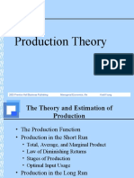 Production Theory