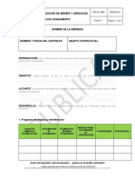 F39.g7.abs Formato Plan de Saneamiento v1