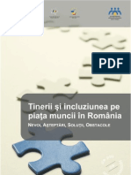 Tinerii Si Incluziunea Sociala Pe Piata Muncii