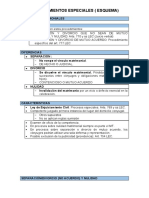 Los Procedimientos Especiales (Esquema)