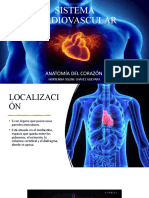 Anatomía Del Corazón