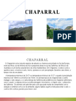 Chaparral 2