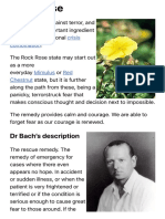 Rock Rose - The Bach Centre's Guide To The Bach Flower Remedies
