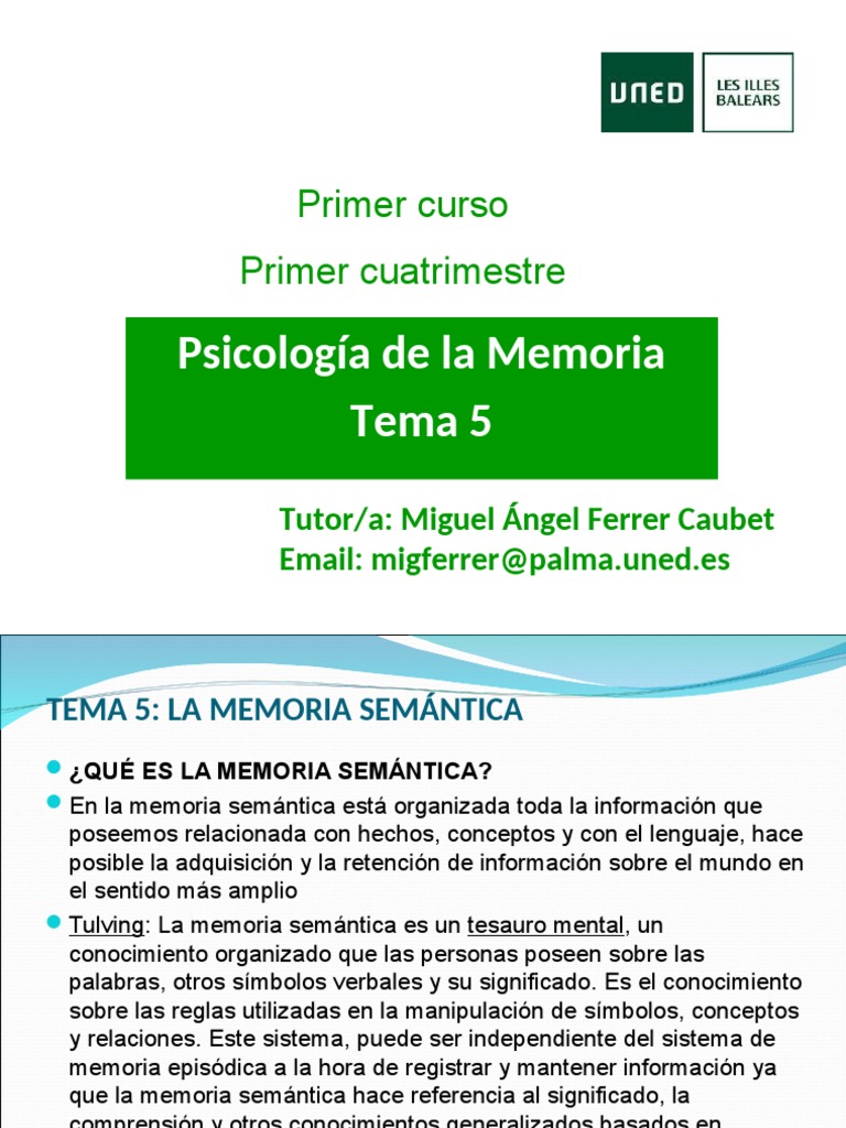 Psico Memoria Tema 5 Pdf Memoria Palabra