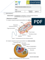 I Actividad de Fisiología Ciclo 2021-1