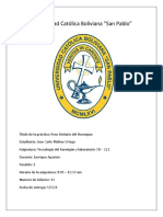 Informe #13 Tecnologia Del Hormigon y Lab (Jose Molina Ortega)