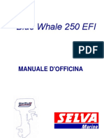 Blue Whale 250 - Italiano